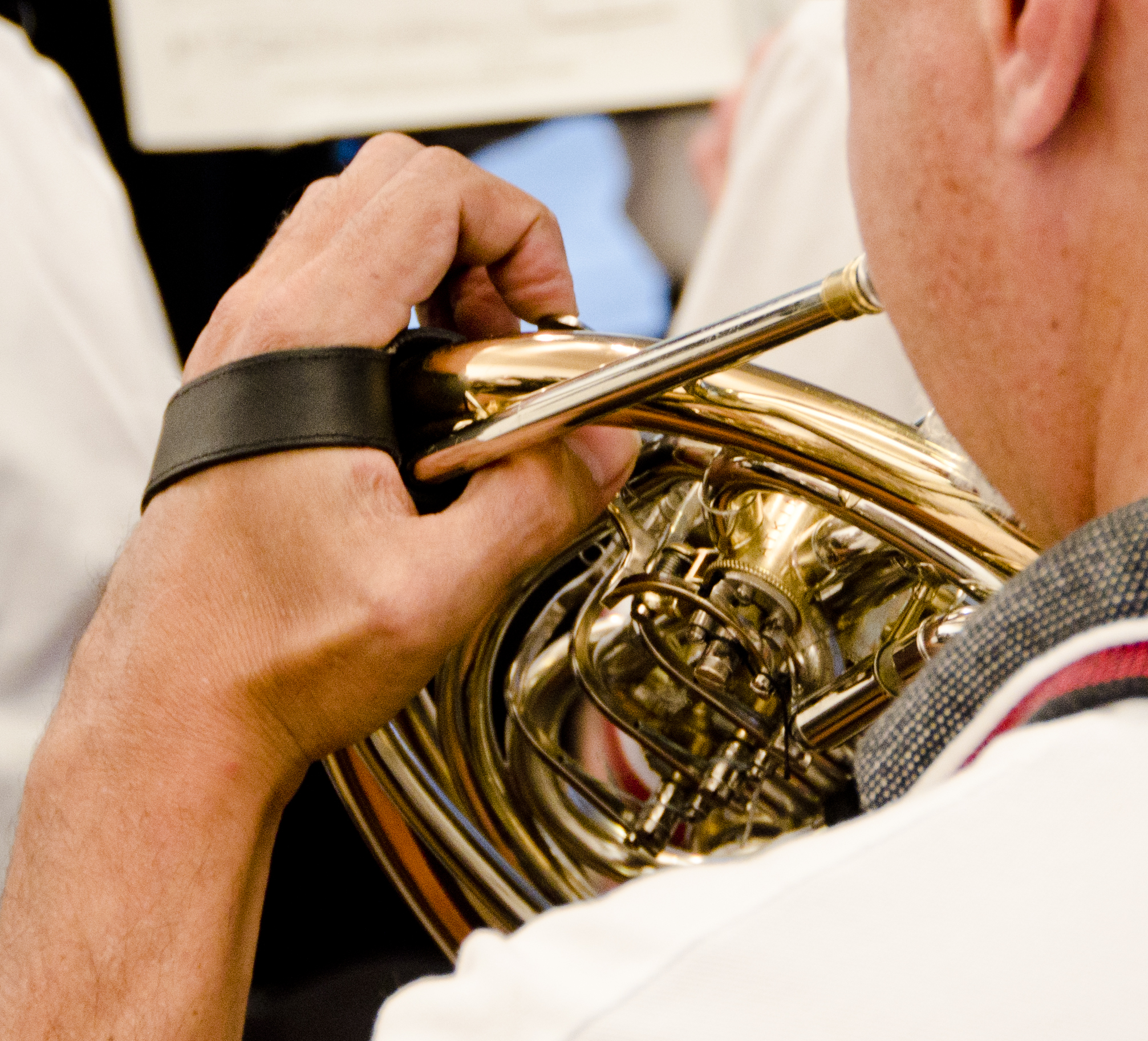 The Little London Winds, french horn player, summer 2011